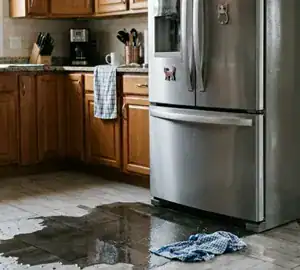 Refrigerator Water Leak Repair in Poughkeepsie, NY